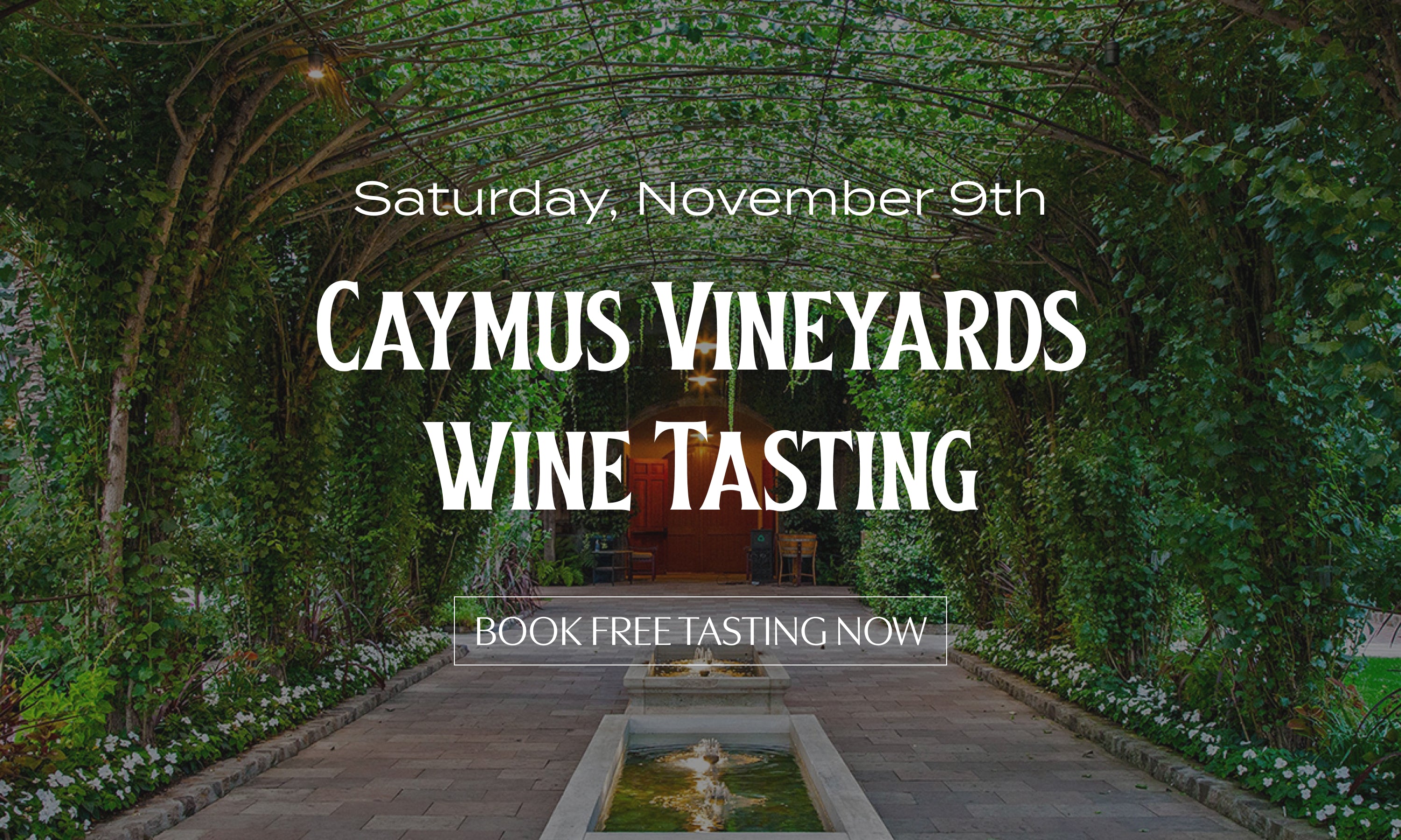 Decorative corn with text promoting 'Turkey Approved Wines' tasting event.