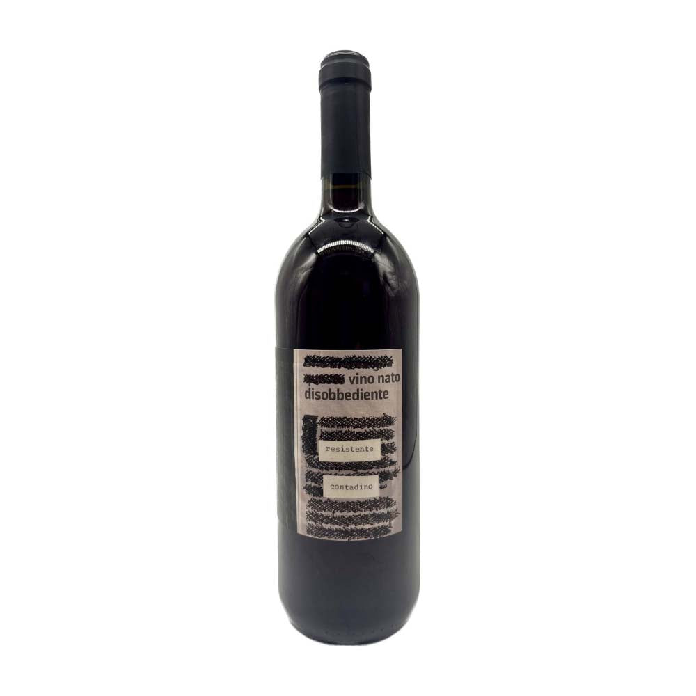 MONTE DALL`ORA Vino nato DISOBBEDIENTE