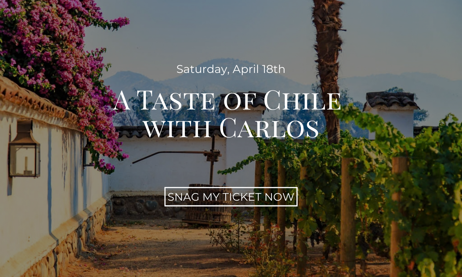 Decorative corn with text promoting 'Turkey Approved Wines' tasting event.