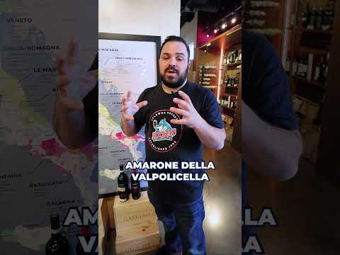 ZONIN VALPOLICELLA RIPASSO SUPERIORE 2020