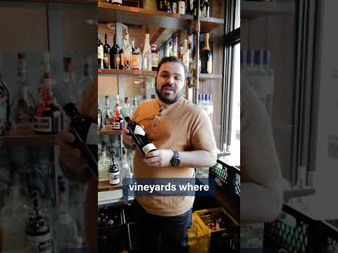 Marchesi di Barolo Peiragal Barbera d'Alba 2020