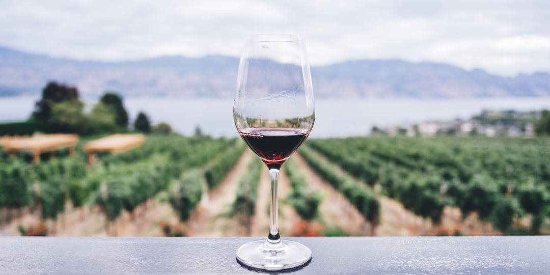 Mediterranean Wine Tasting at Franco's