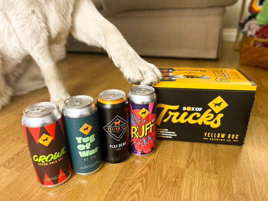 Yellow Dog Box of Tricks Mix Pack 8 AR