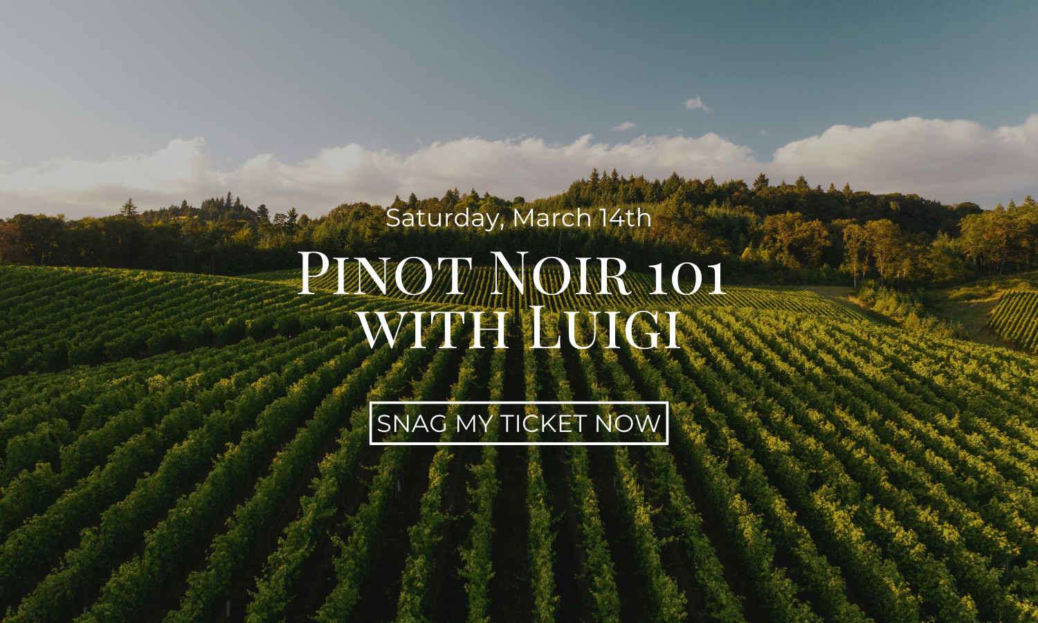 Decorative corn with text promoting 'Turkey Approved Wines' tasting event.