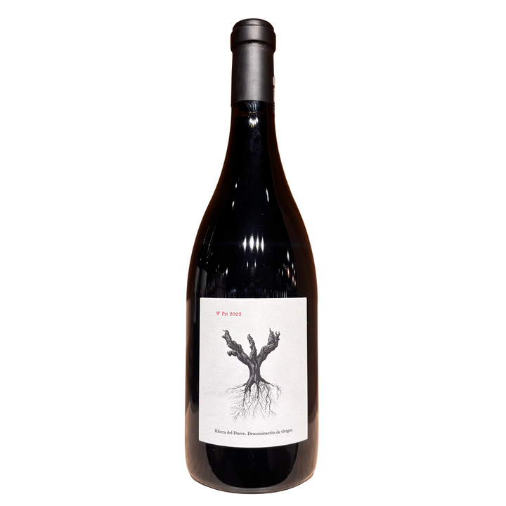 PSI 2022 RIBERA DEL DUERO