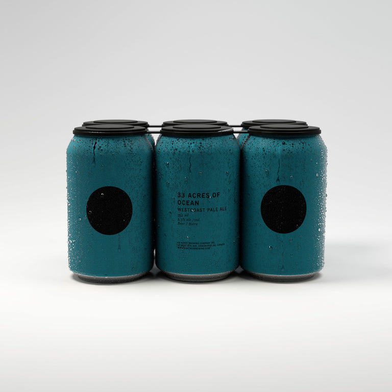33 ACRES OF OCEAN PALE ALE 6 AR